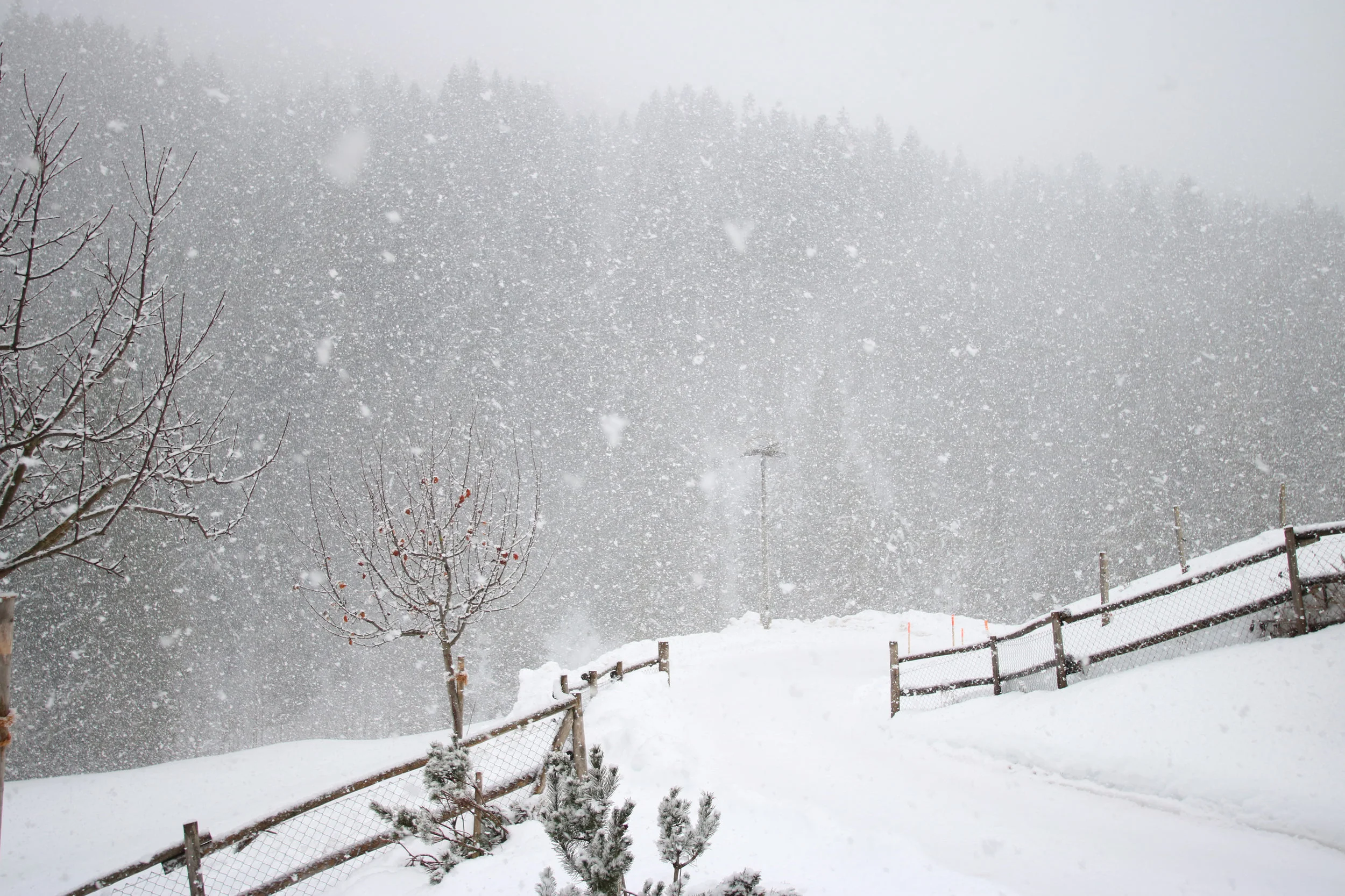 5 Ways Seniors Can Stay Healthy in Winter and Beat the Winter Blues