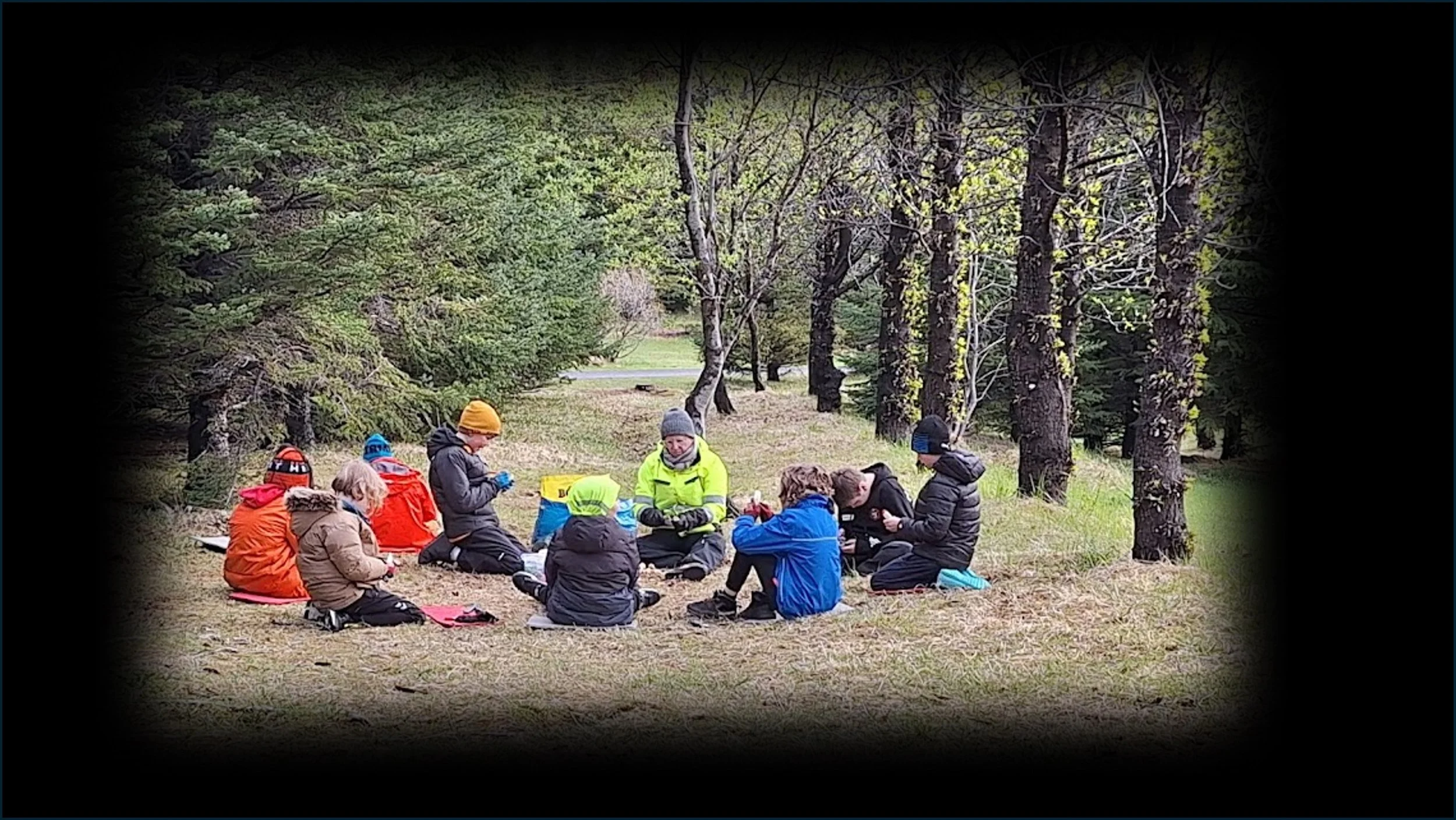 Fagráðstefna skógræktar 2026