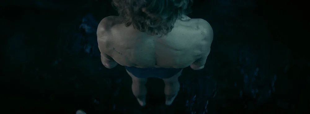 LORSQUE RÈGNENT LES CHIENS