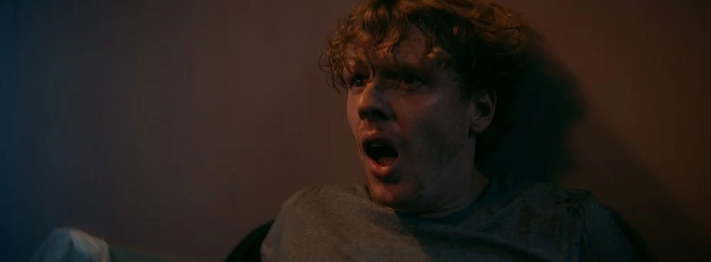 LORSQUE RÈGNENT LES CHIENS