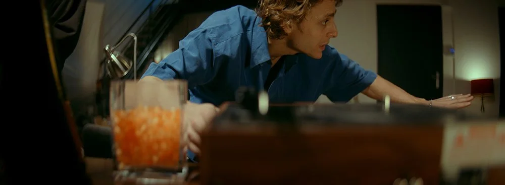 LORSQUE RÈGNENT LES CHIENS