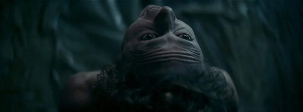 LORSQUE RÈGNENT LES CHIENS