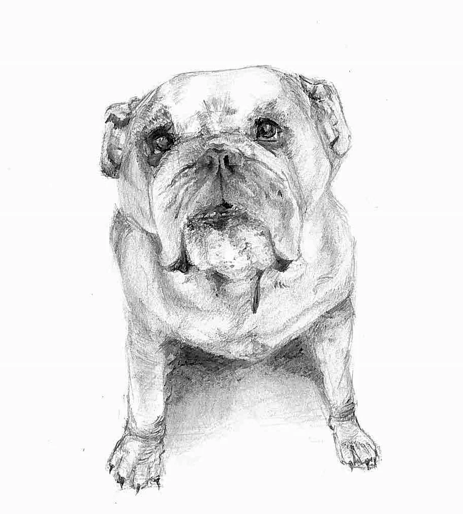 Scanned from a Xerox Multifunction Device (1).jpg