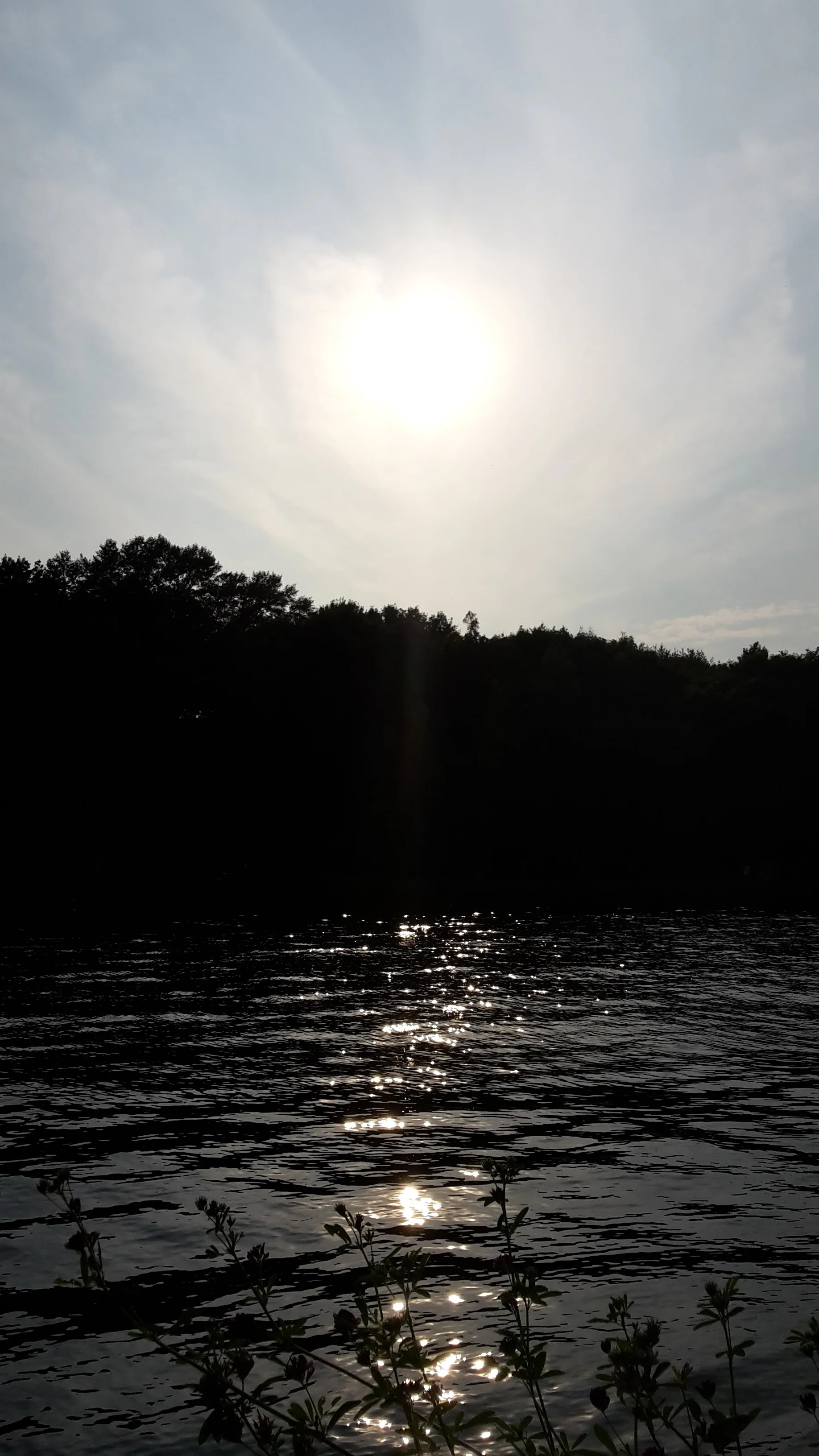 Y..20160724_190302.jpg