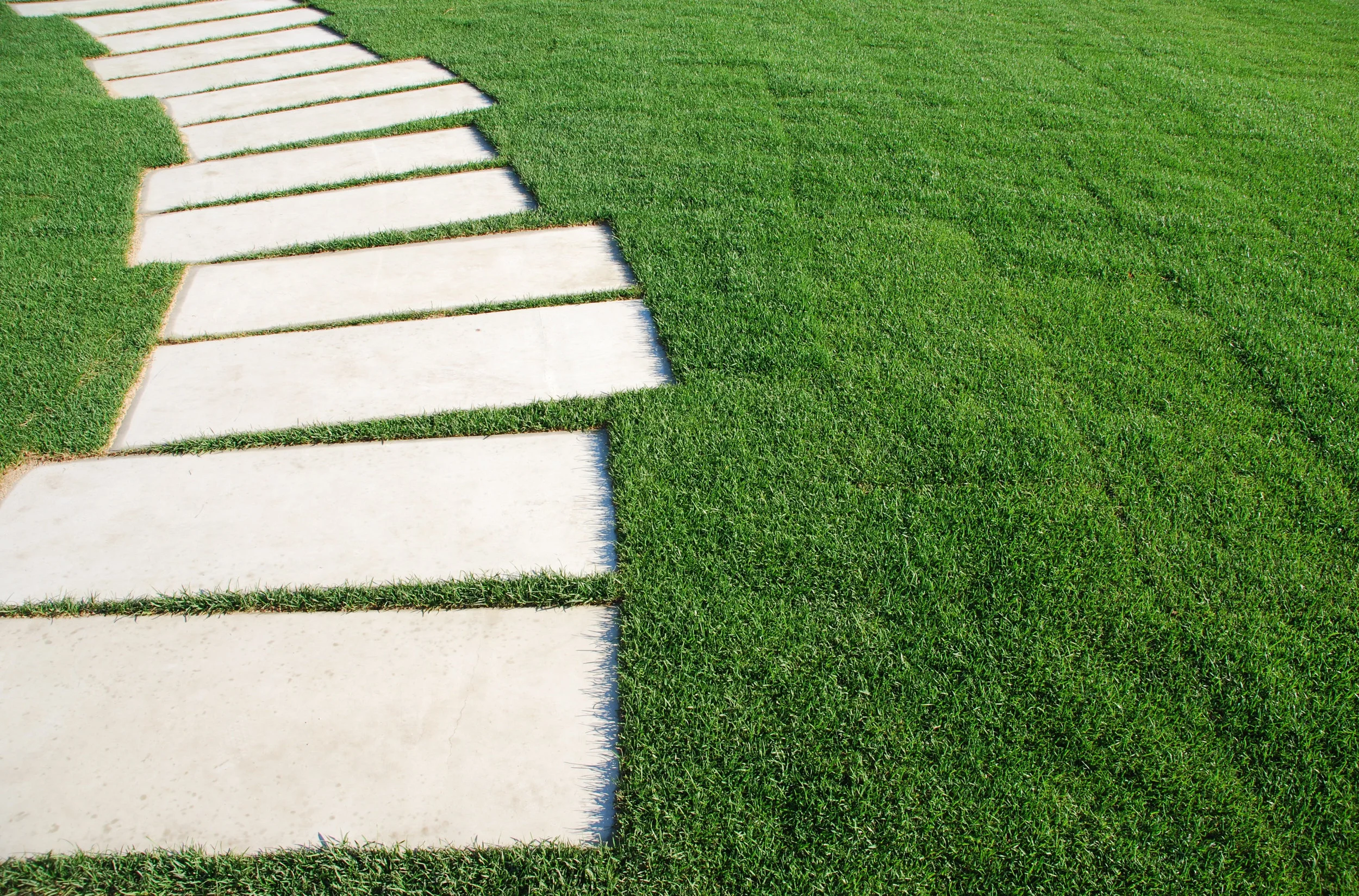 serpentine-pathway-stones-on-a-park-lawn-concept_QkaE7E.jpg