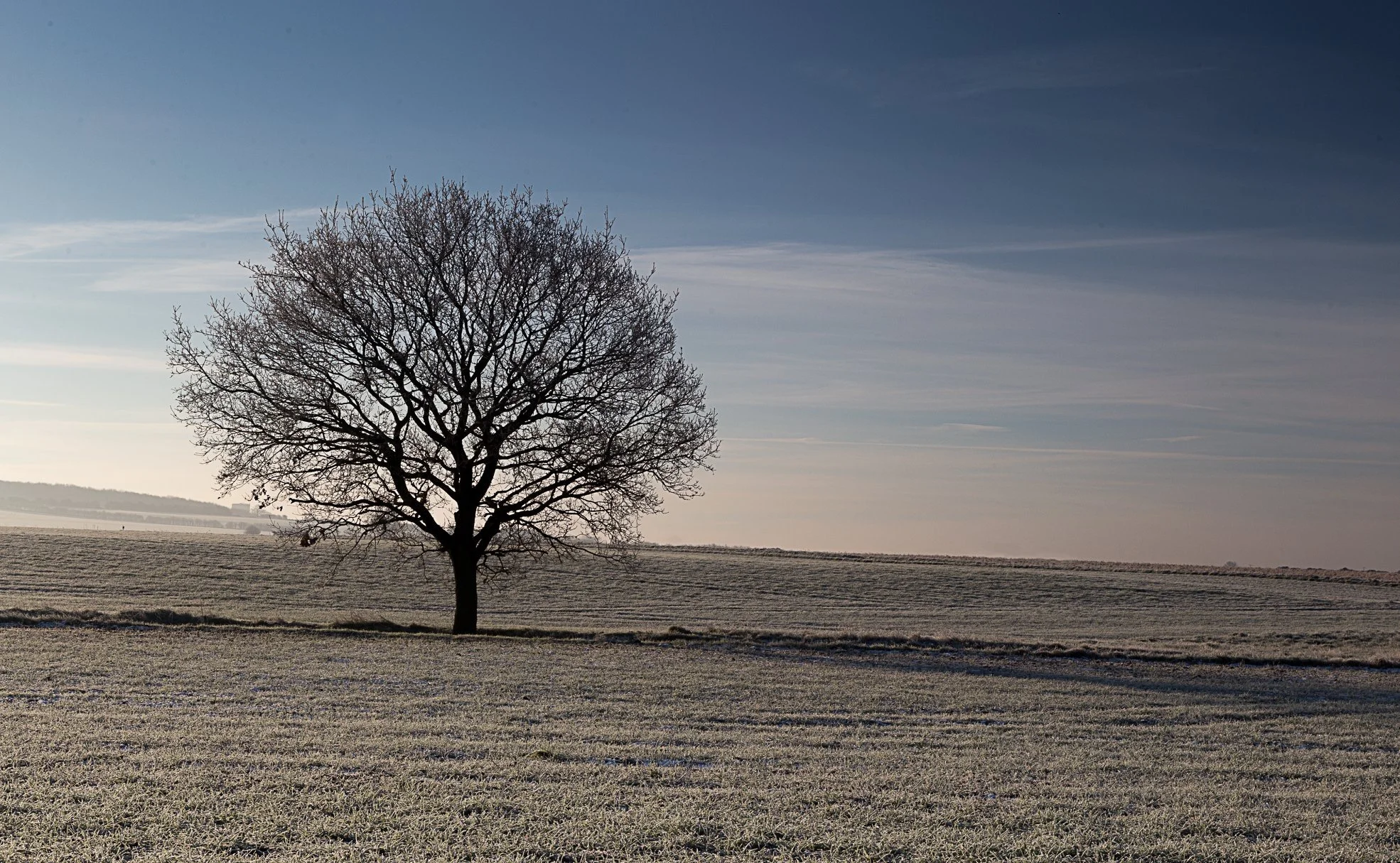 Blog — Debonair Images UK