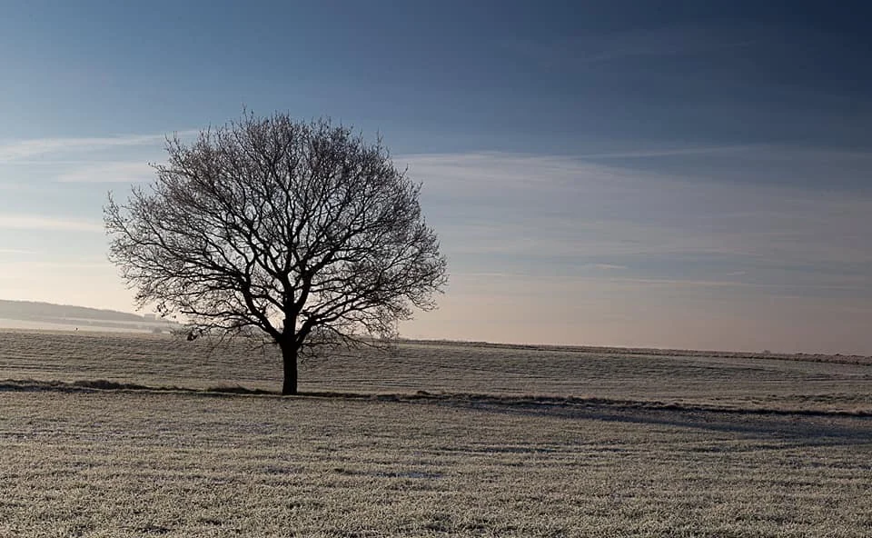 Morning has Broken