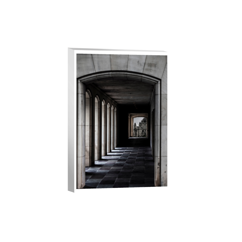 canvas_rectangle2_3_3_0_5361_8042_0_true_ffffff_2_2.png