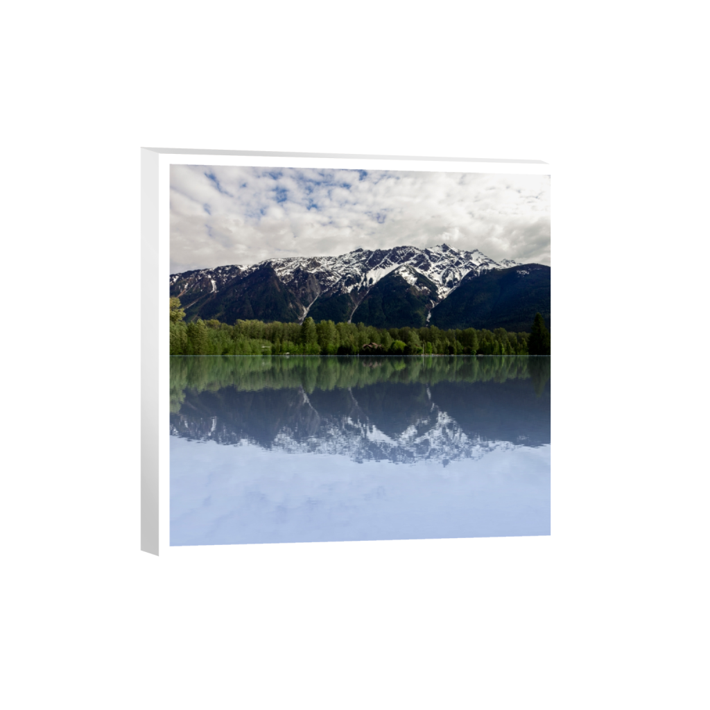 canvas_square_81_0_5736_5736_0_true_ffffff_2_2.png