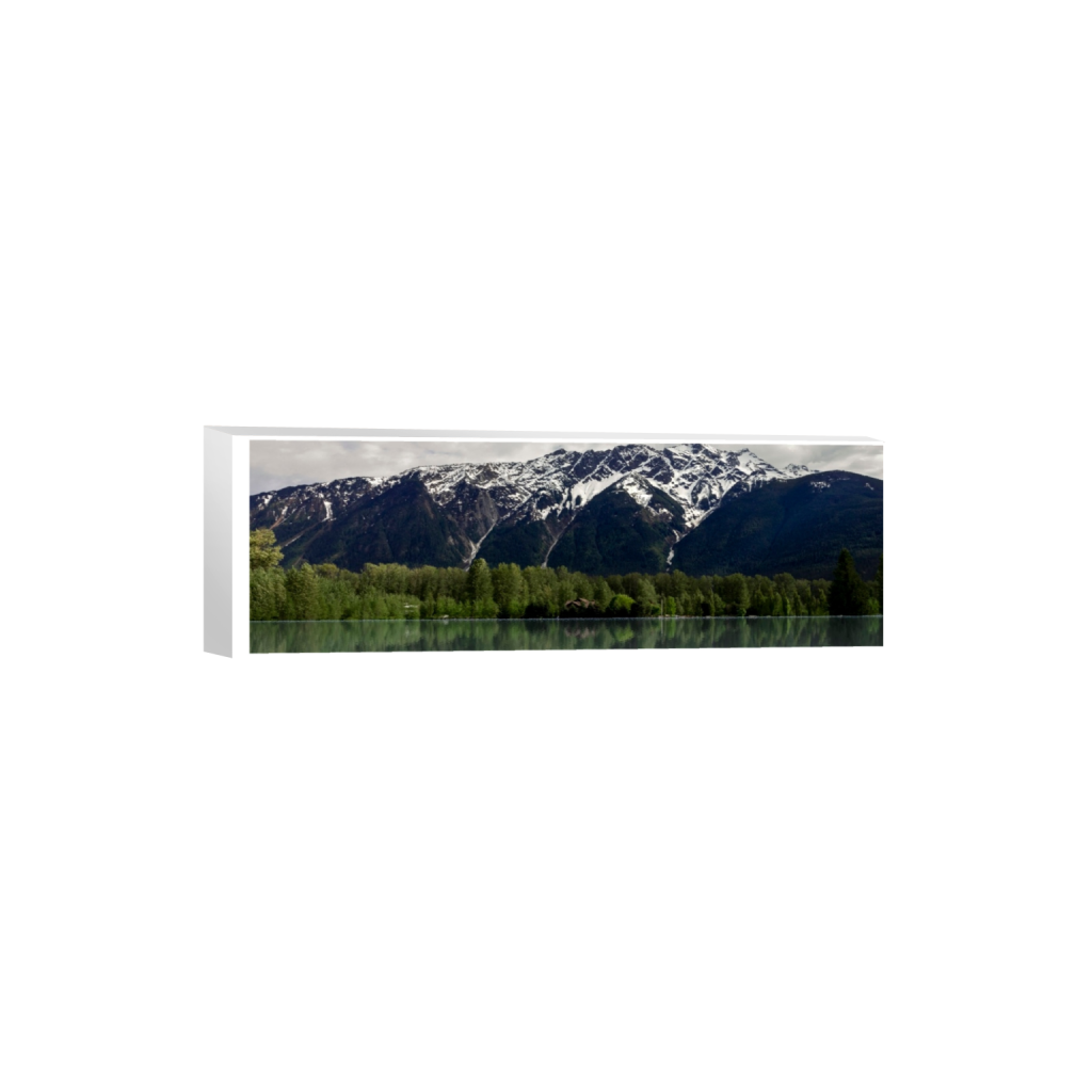 canvas_rectangle1_3_0_1201_6000_2000_0_true_ffffff_2_2.png