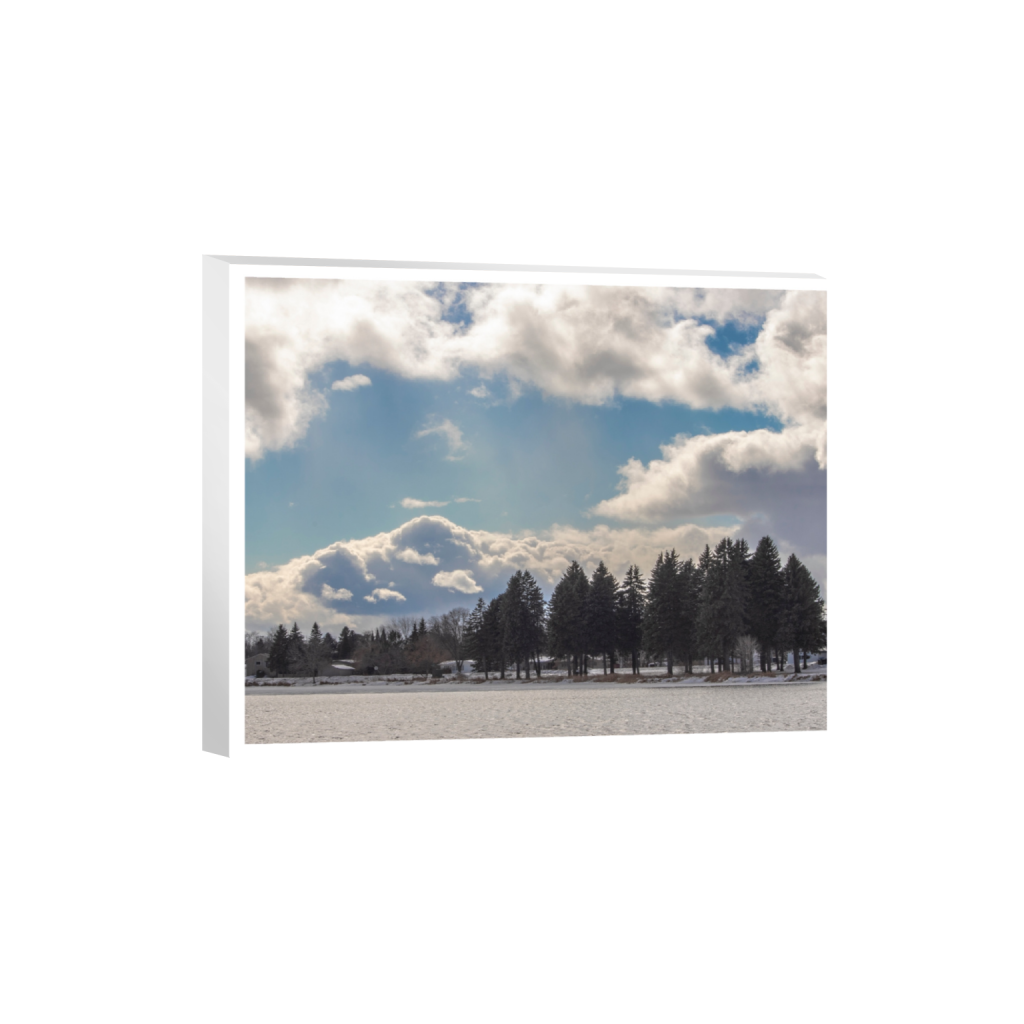 canvas_rectangle4_5_1000_0_5000_4000_0_true_ffffff_2_2.png