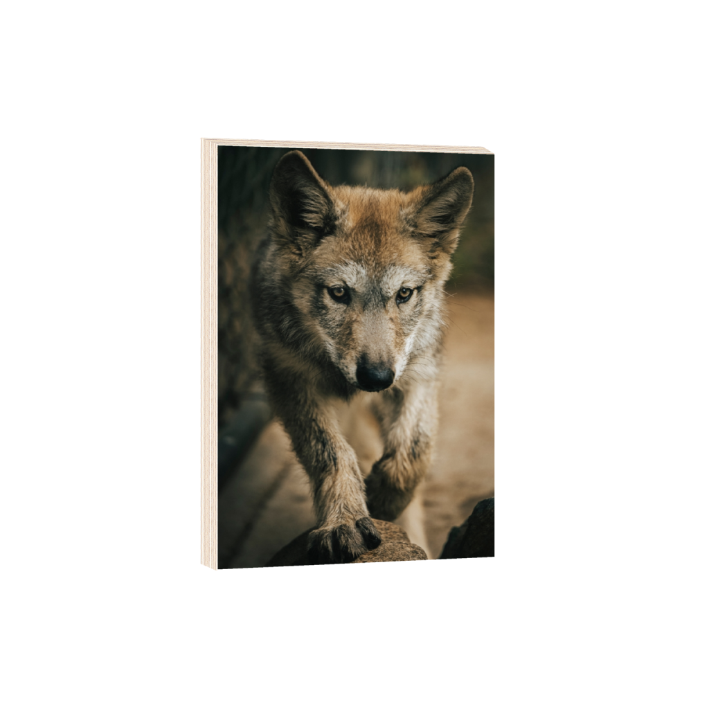 woodprint_rectangle2_3_152_0_3277_4916_0_false_ffffff_2_2.png