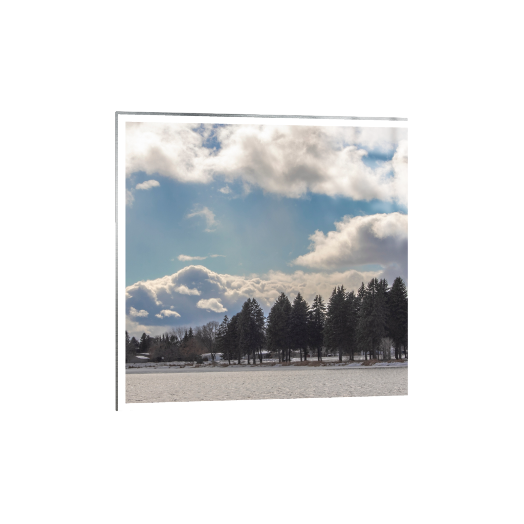 metalprint_square_1573_0_4000_4000_0_true_ffffff_2_2.png