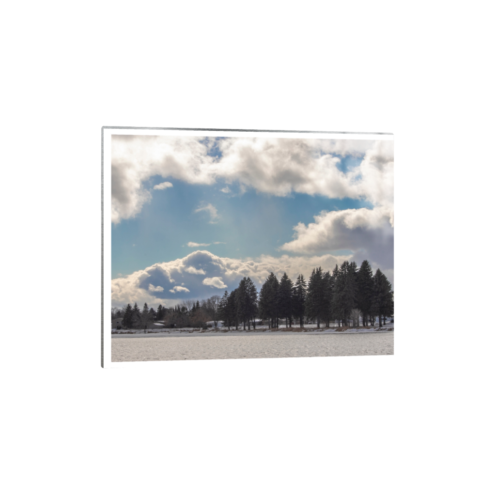 metalprint_rectangle4_5_1000_0_5000_4000_0_true_ffffff_2_2.png