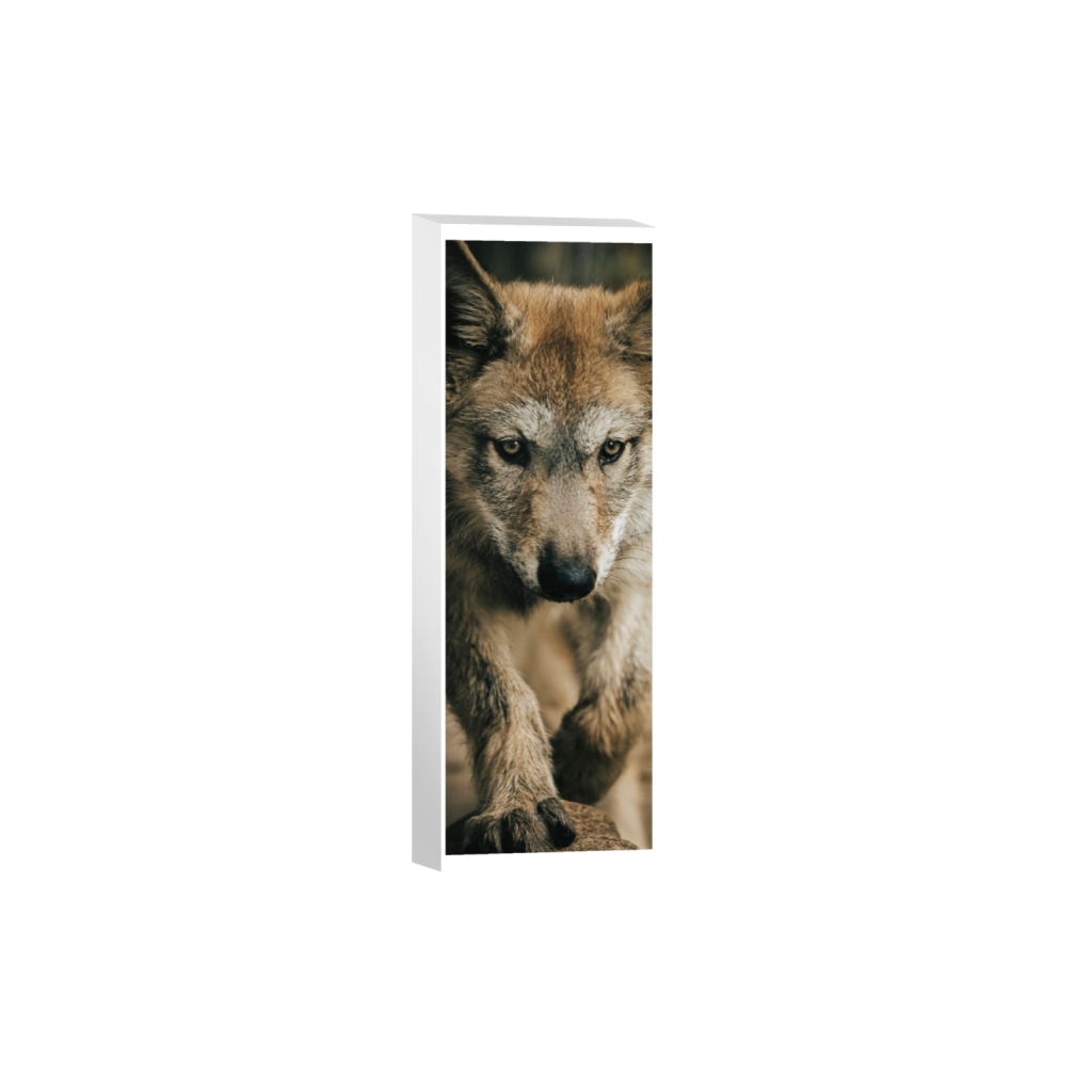 canvas_rectangle1_3_997_0_1638_4916_0_true_ffffff_2_2.png