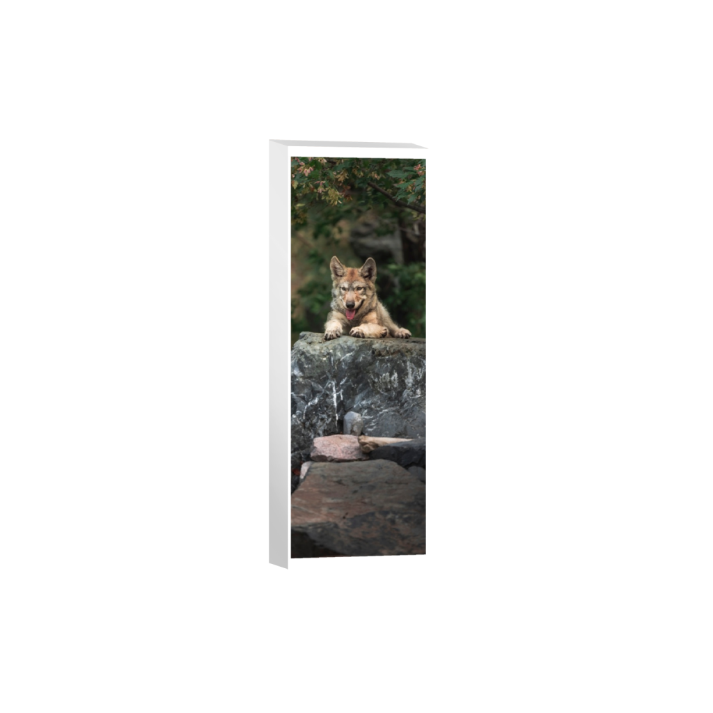 canvas_rectangle1_3_1677_0_2730_8192_0_true_ffffff_2_2.png