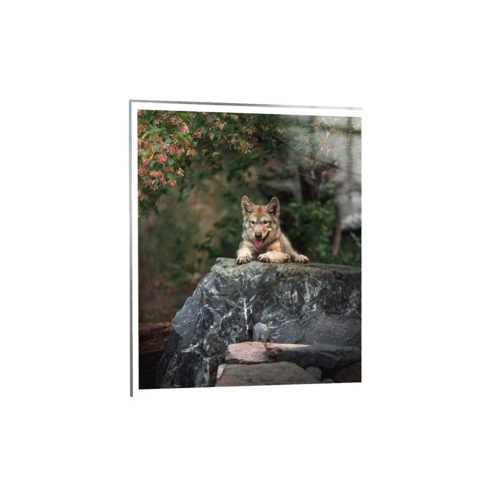metalprint_rectangle4_5_0_0_5464_6830_0_true_ffffff_2_2.png