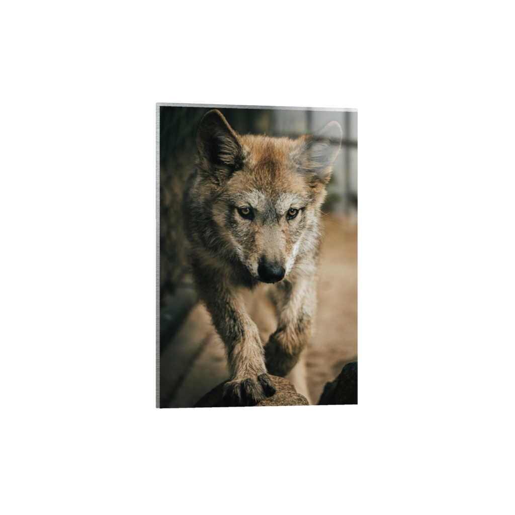 metalprint_rectangle2_3_152_0_3277_4916_0_false_ffffff_2_2.png