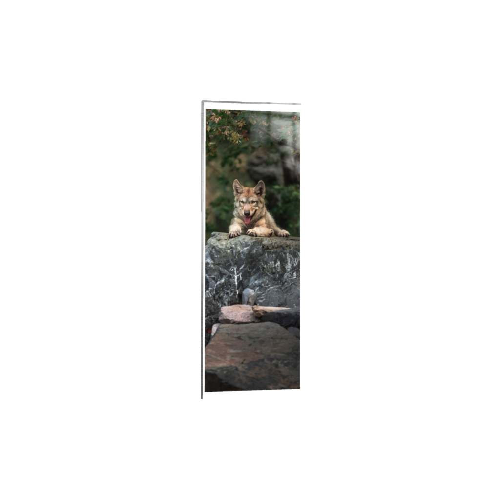 metalprint_rectangle1_3_1677_0_2730_8192_0_true_ffffff_2_2.png