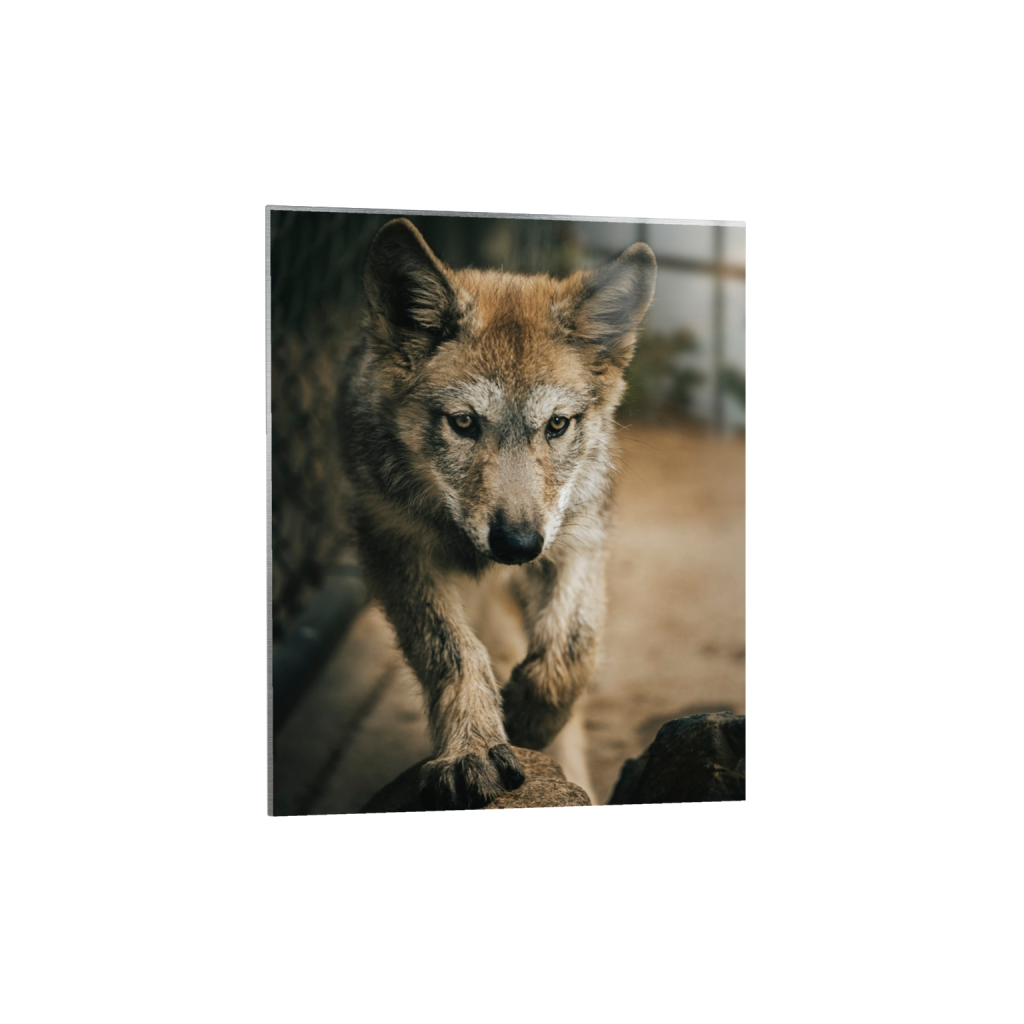 metalprint_rectangle4_5_0_0_3932_4916_0_false_ffffff_2_2.png