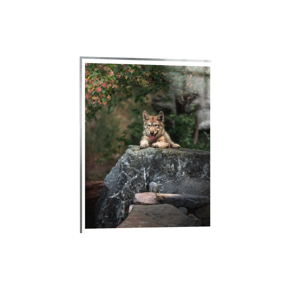 metalprint_rectangle3_4_0_0_5464_7285_0_true_ffffff_2_2.png