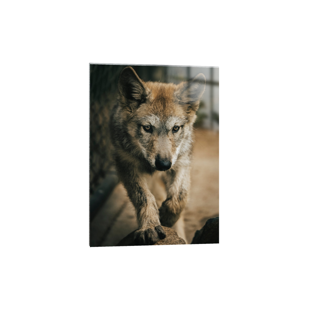 metalprint_rectangle5_7_0_0_3511_4916_0_false_ffffff_2_2.png