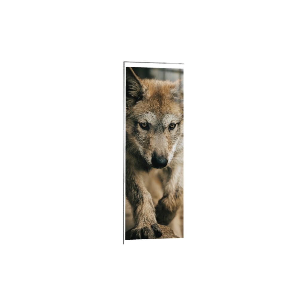 metalprint_rectangle1_3_997_0_1638_4916_0_true_ffffff_2_2.png