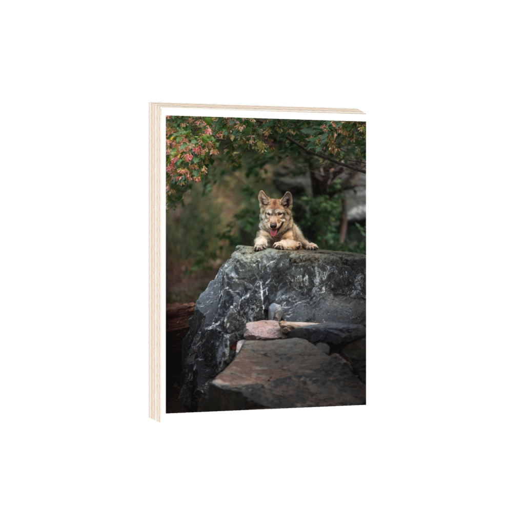 woodprint_rectangle2_3_3_0_5461_8192_0_true_ffffff_2_2.png