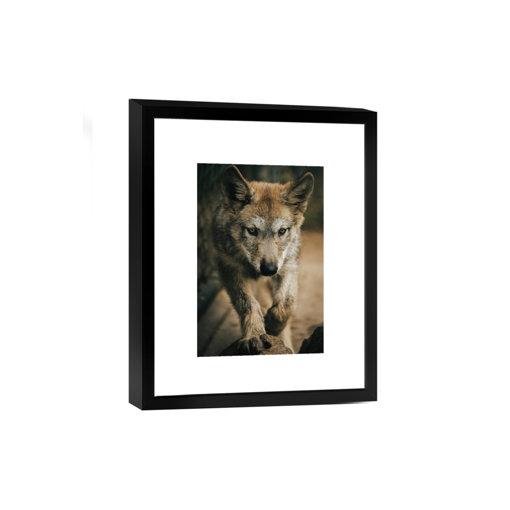 smartframe_rectangle2_3_152_0_3277_4916_0_false_ffffff_2_2.png