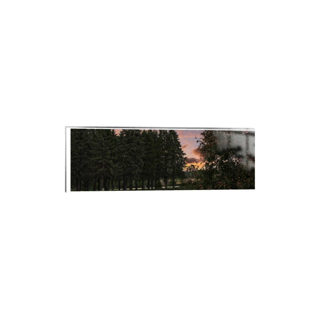 metalprint_rectangle1_3_0_253_6000_2000_0_true_ffffff_2_2.png