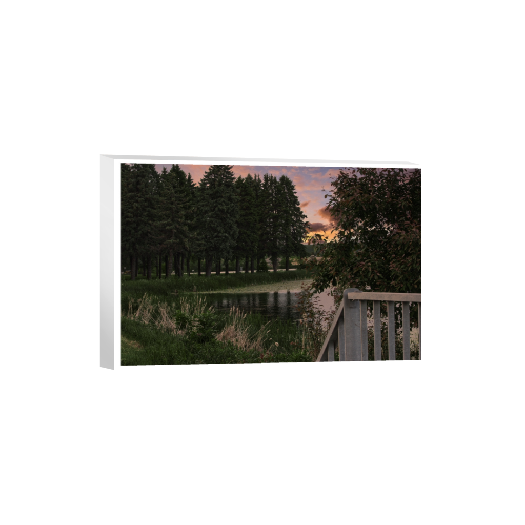 canvas_rectangle2_3_0_0_6000_4000_0_true_ffffff_2_2.png