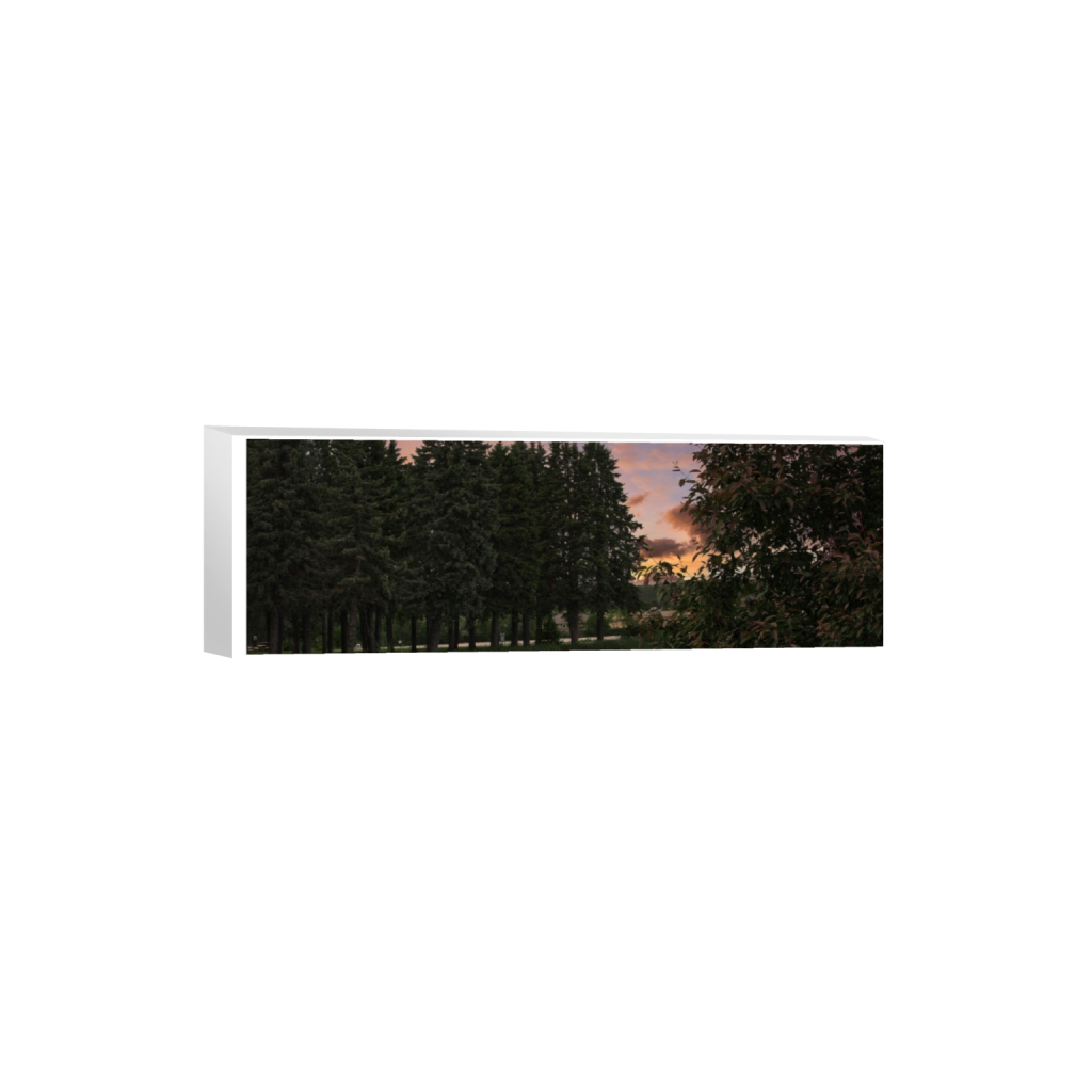canvas_rectangle1_3_0_253_6000_2000_0_true_ffffff_2_2.png