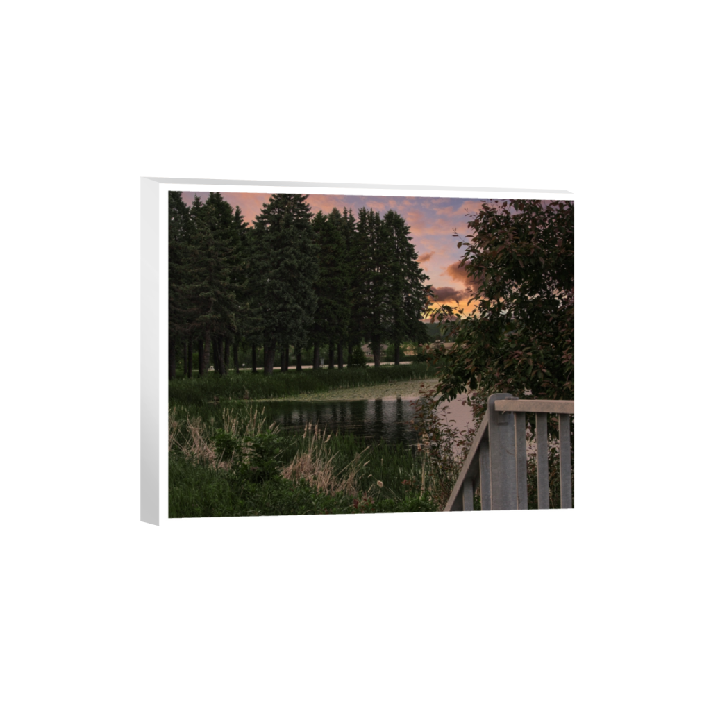 canvas_rectangle4_5_500_0_5000_4000_0_true_ffffff_2_2.png
