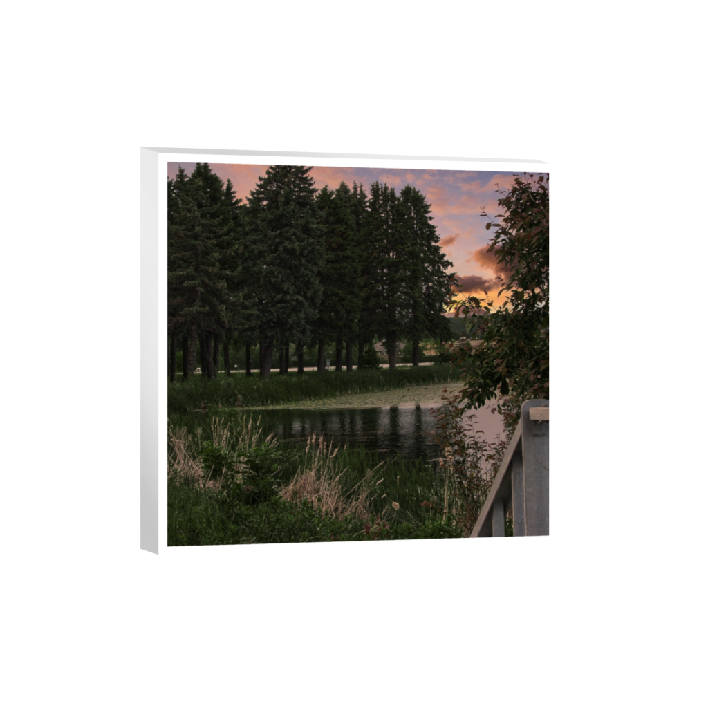 canvas_square_715_0_4000_4000_0_true_ffffff_2_2.png