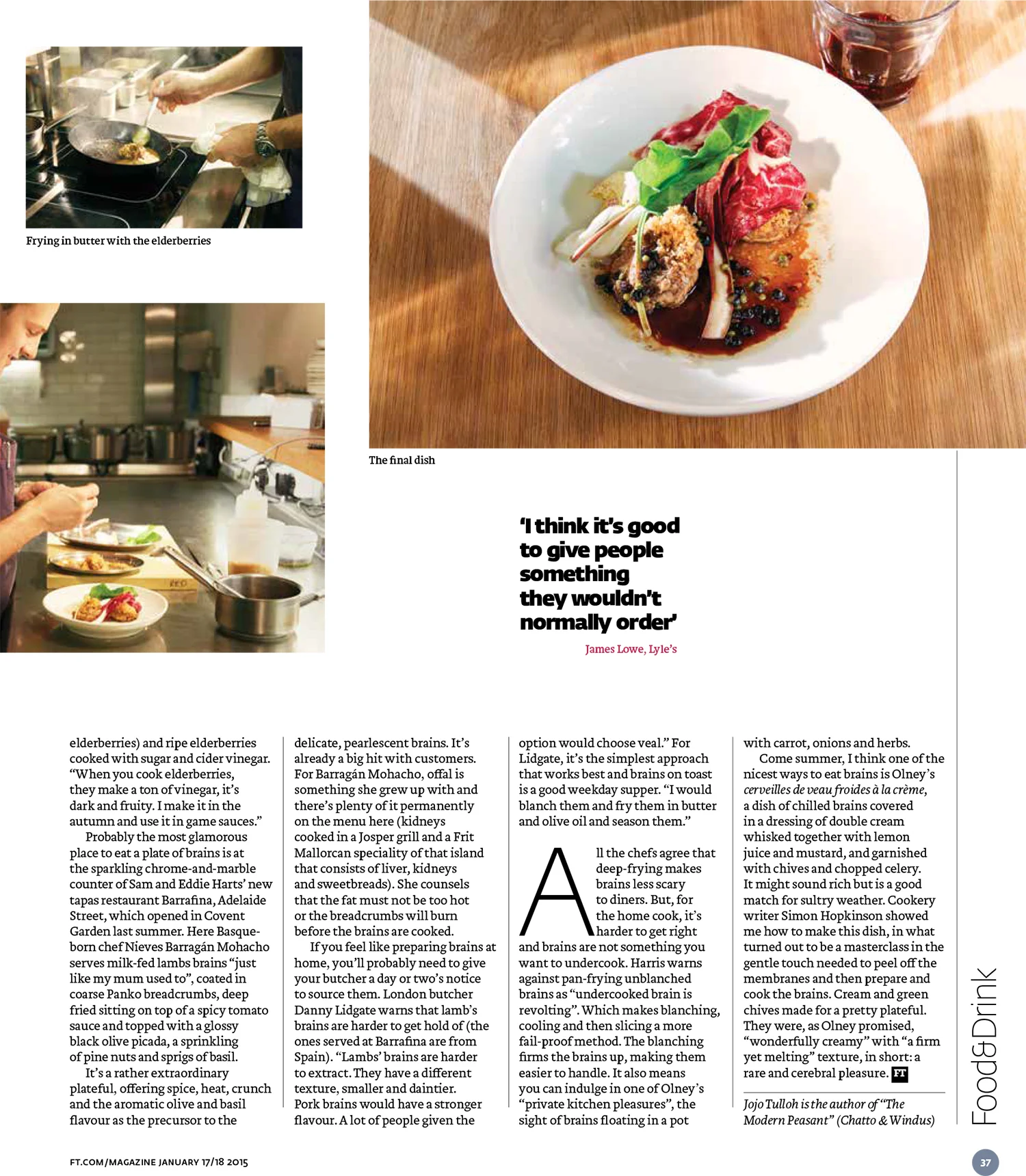 brainsFT02 Higher.jpg