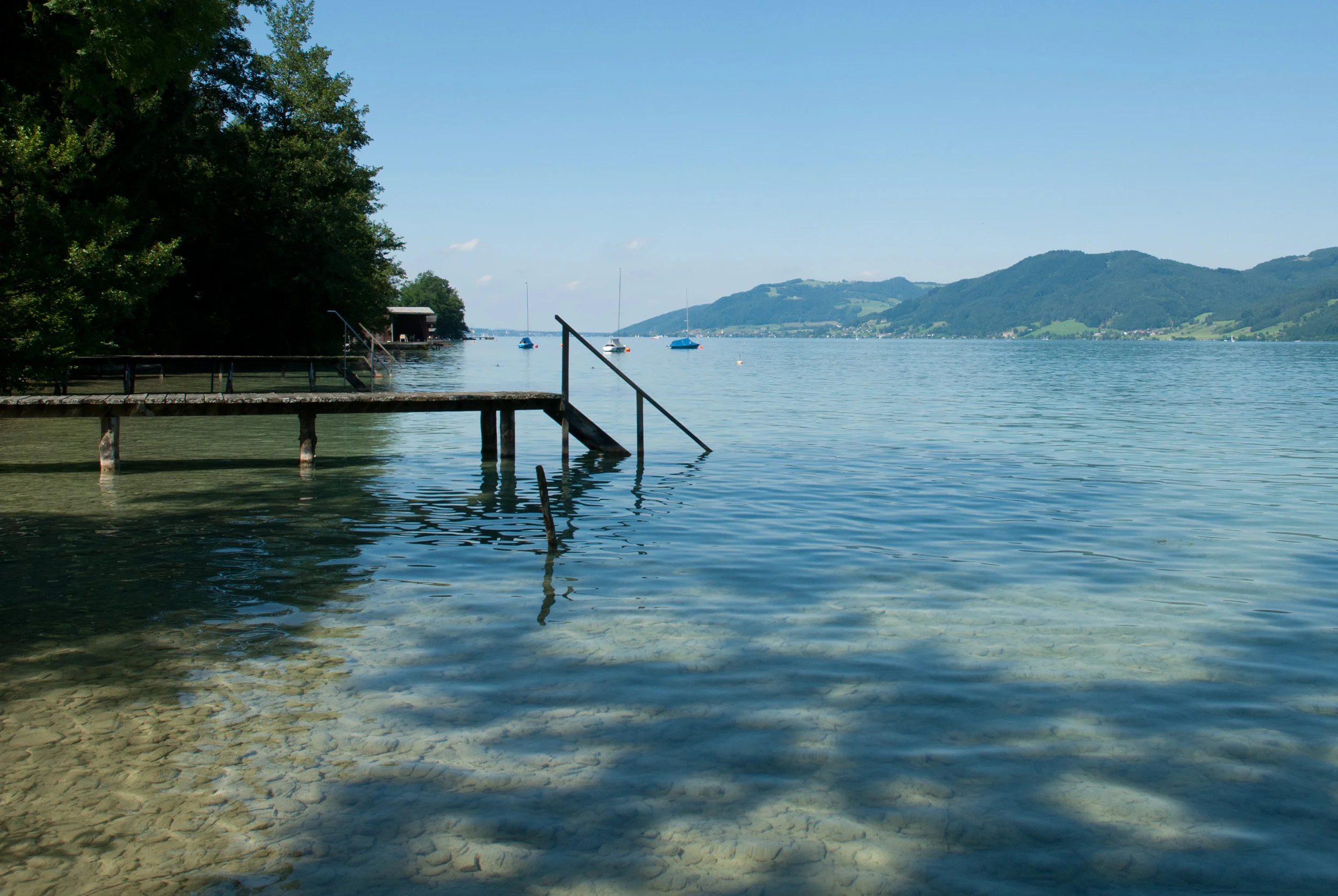 DSC_7509.JPG