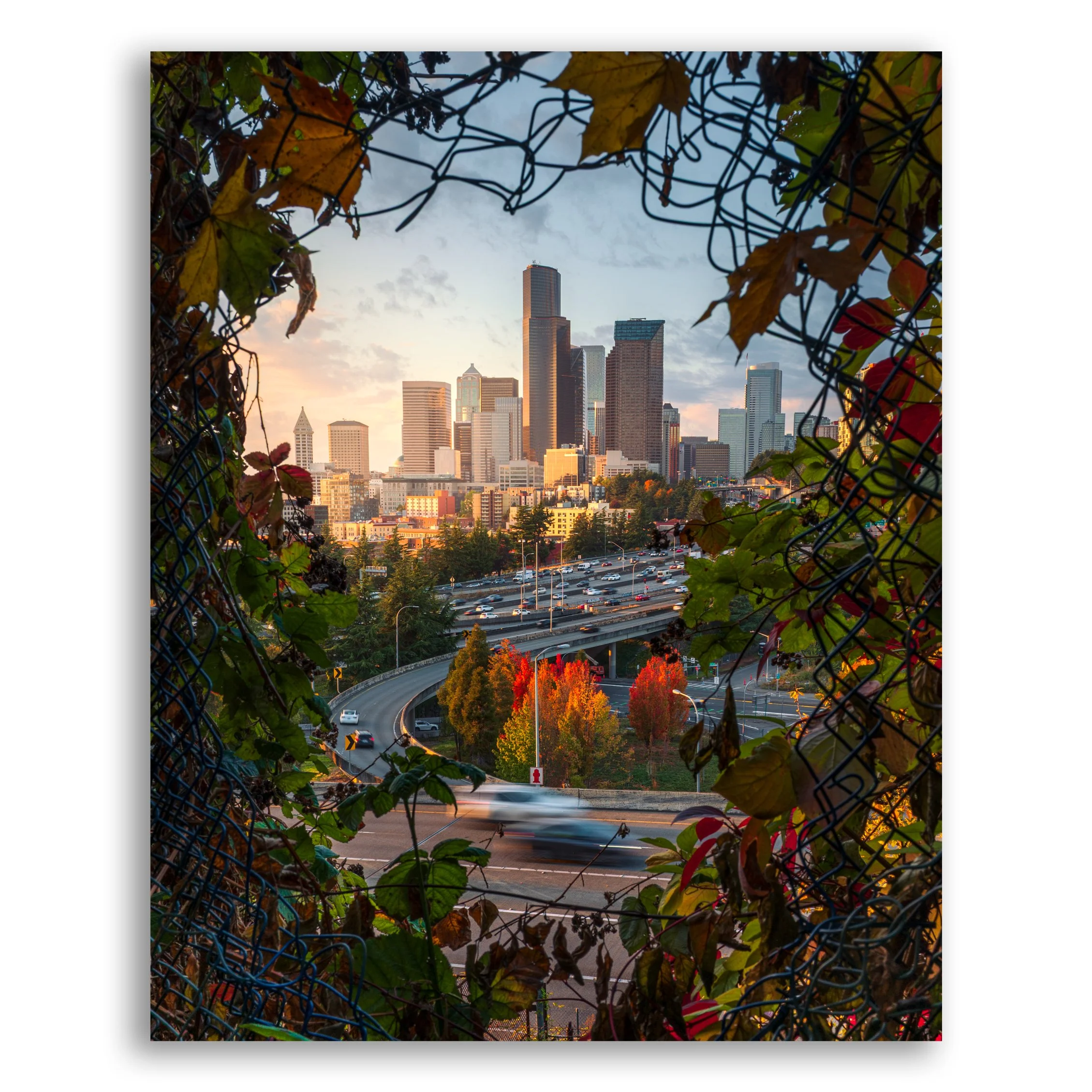 Autumn in Seattle