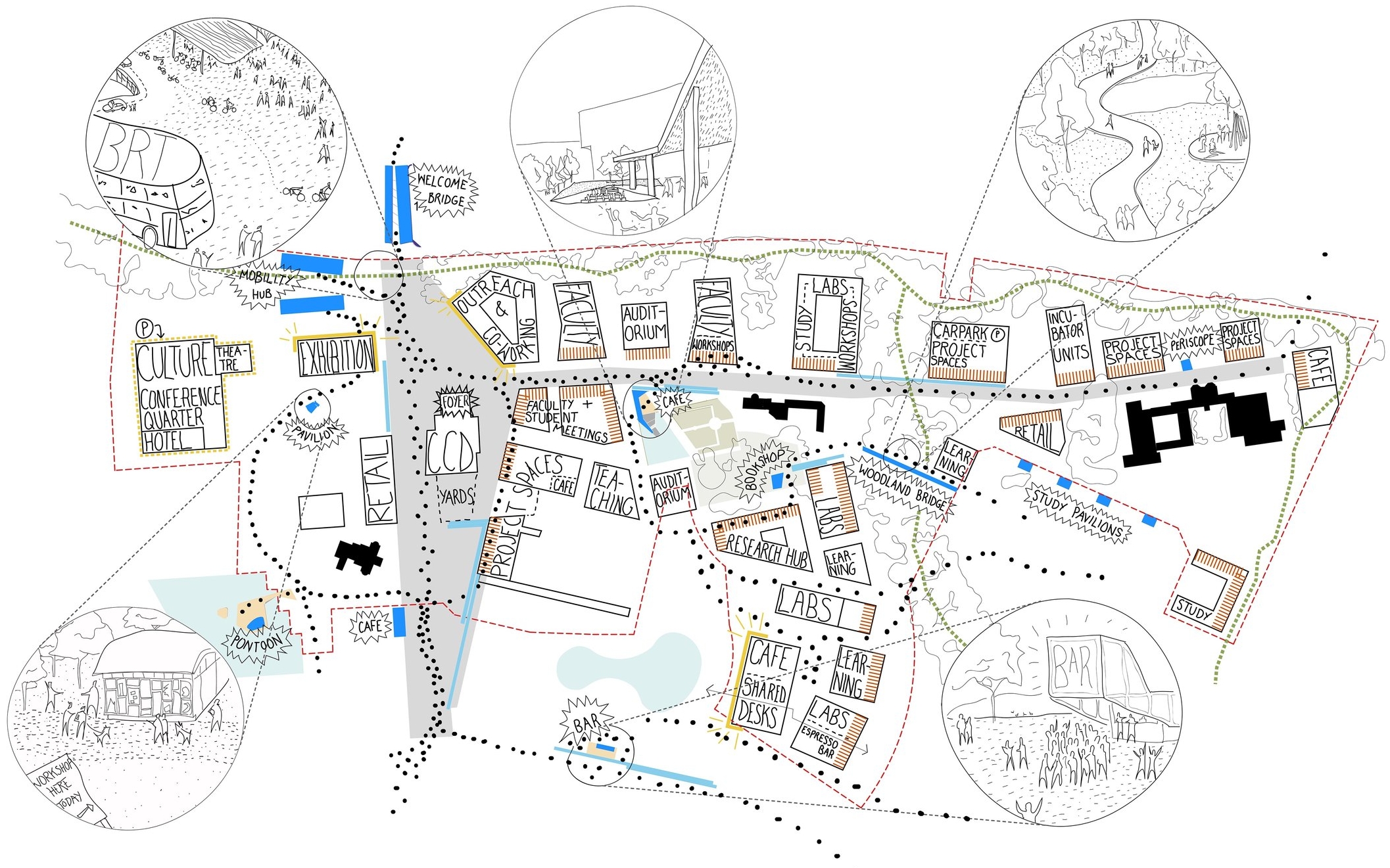 UCD_Nodes and Networks.jpg