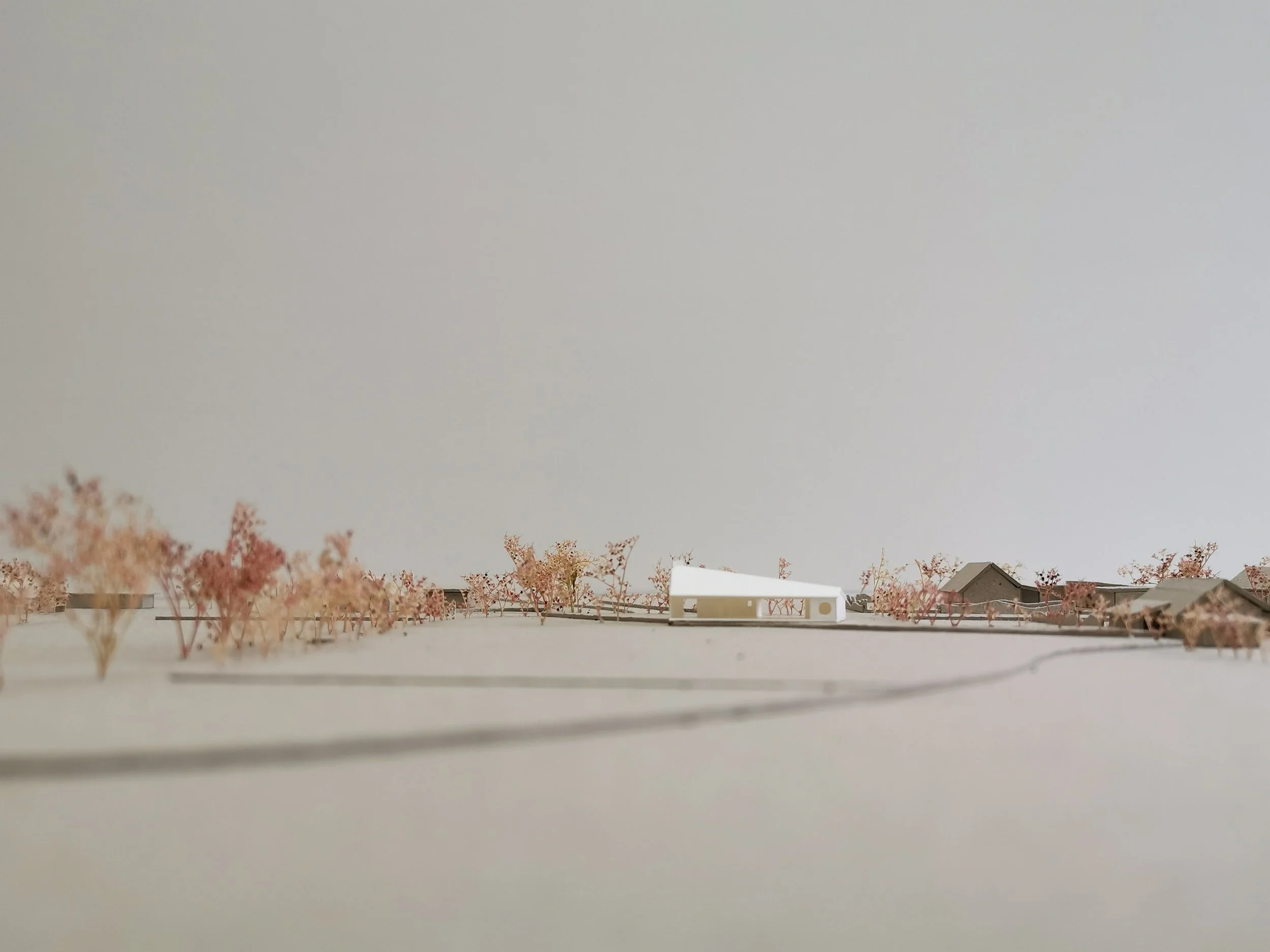 House Rittgarten_site model_LQ.jpg
