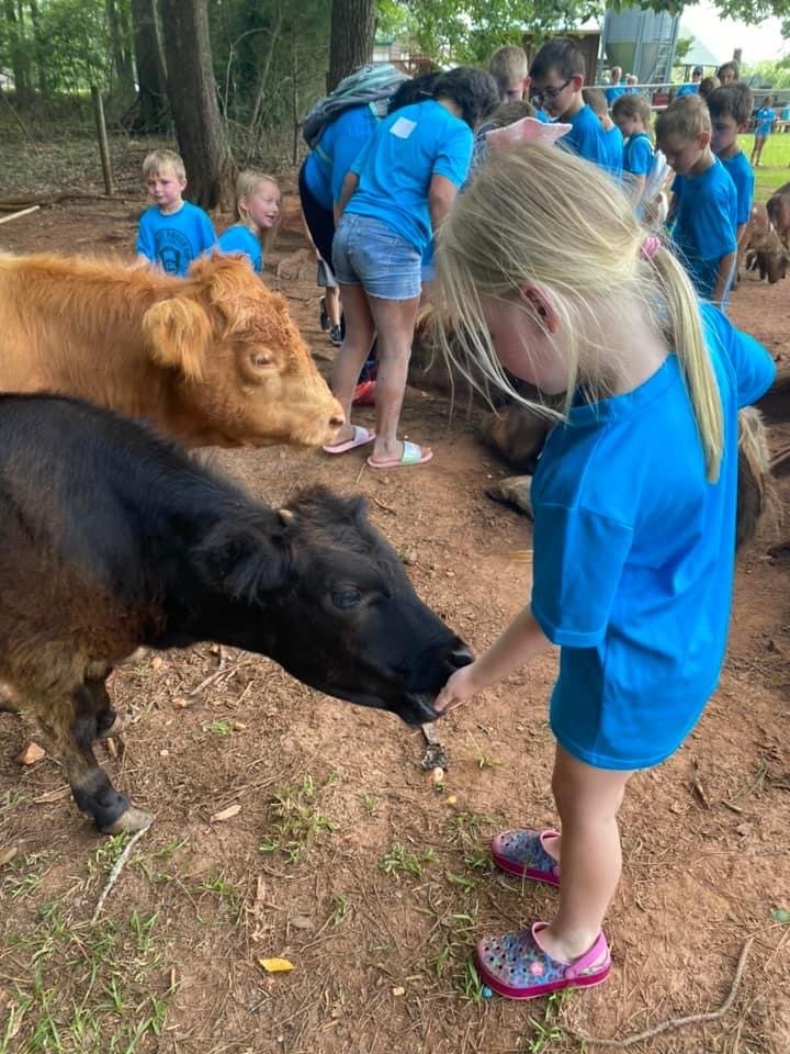 LSA Field Trip to Twin Oak Farms 2022