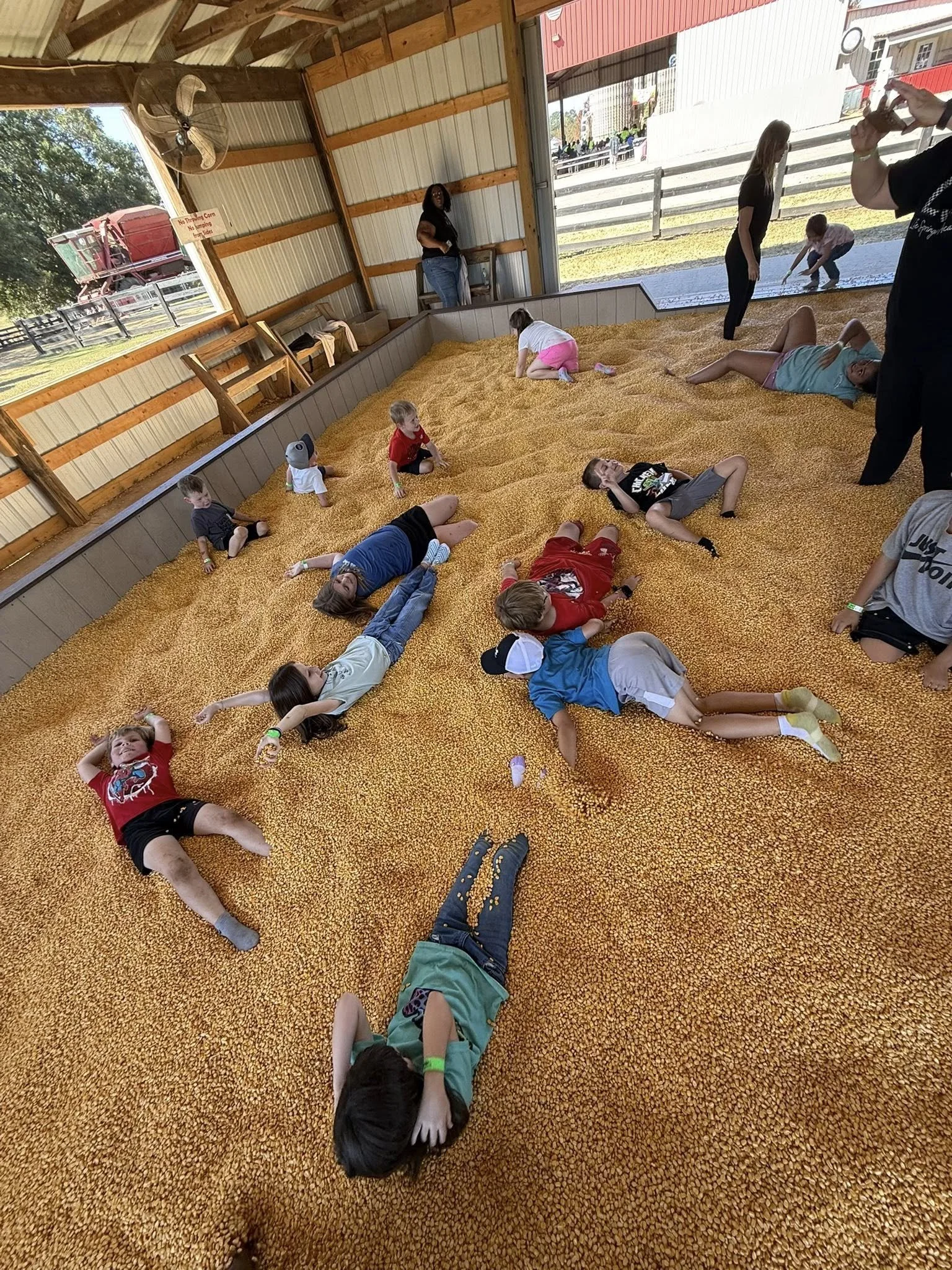 corn.jpg
