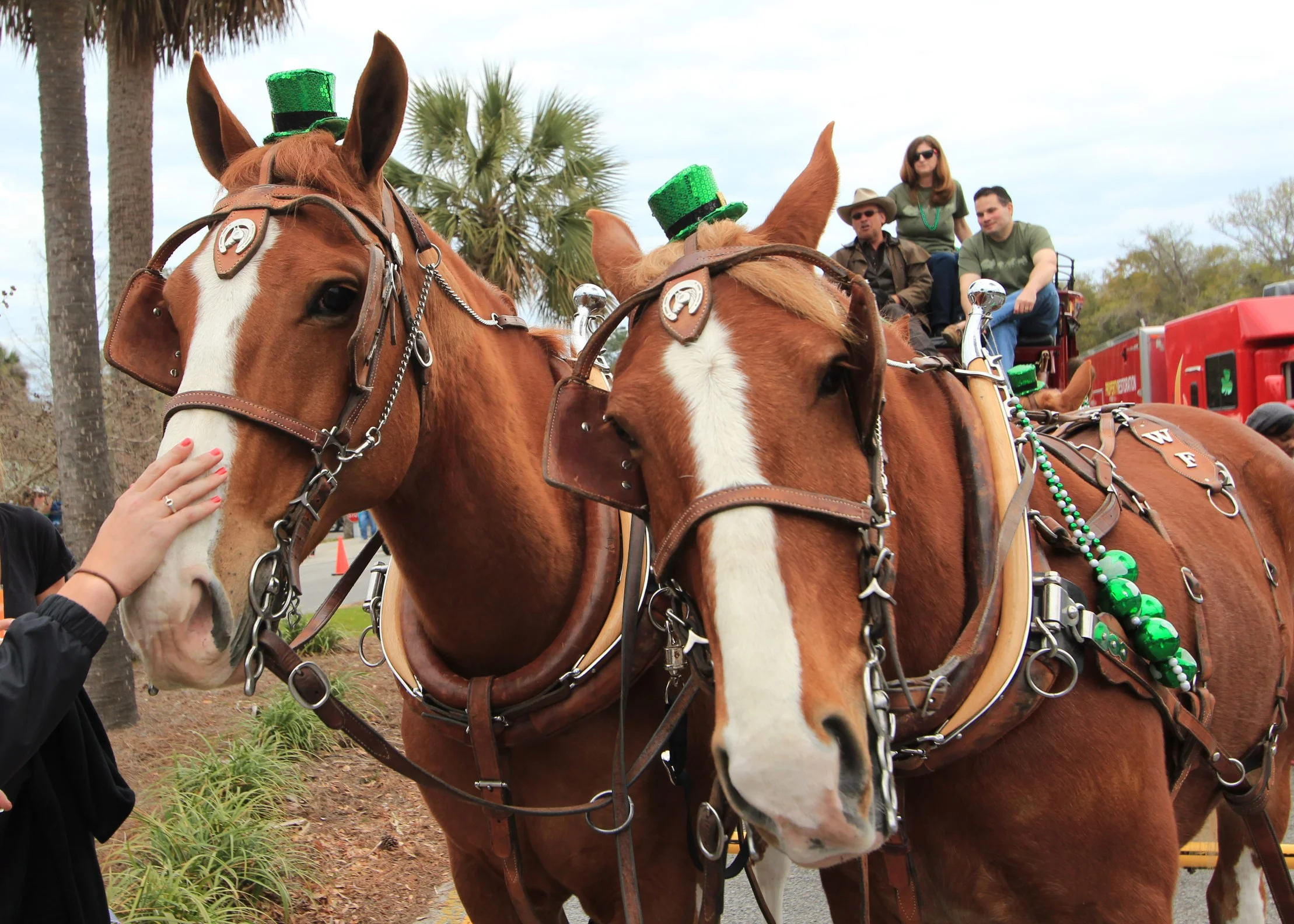 Hilton Head Ireland St. Patrick's Day Parade