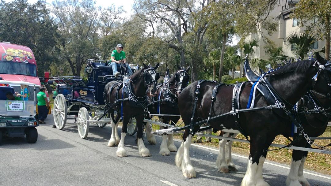 express clydesdales.jpg