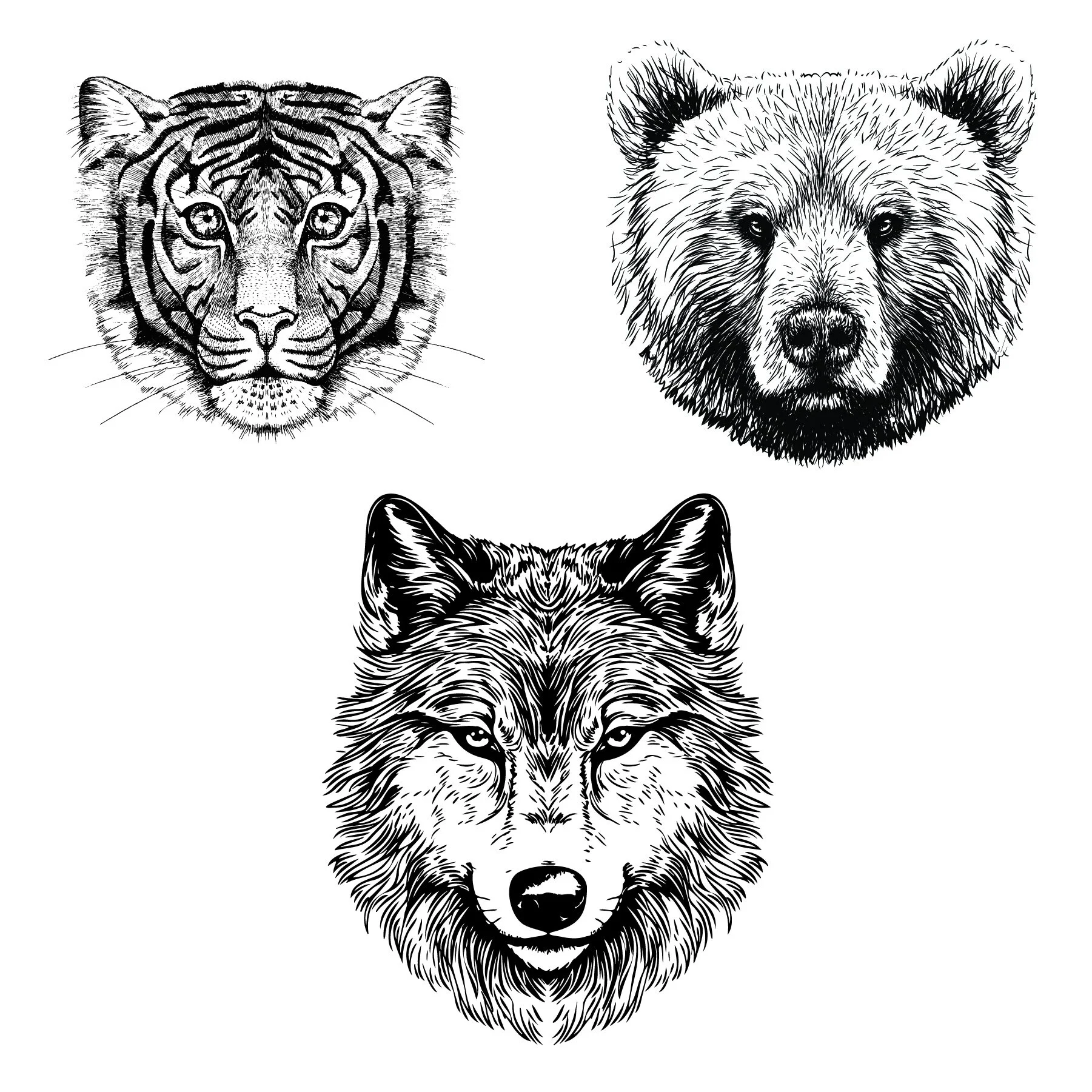 Nature's Trio Art Stamp Collection