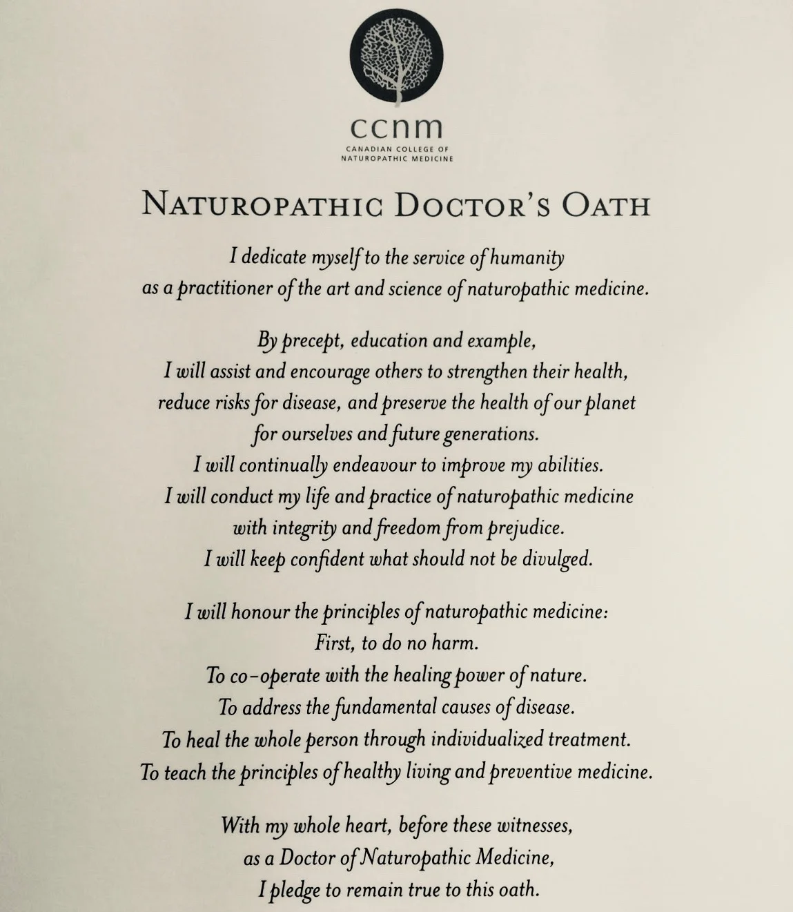 natoath 2.jpg