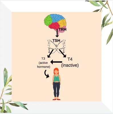 Your TSH is "normal" but you still feel sick and tired of feeling sick and tired. 