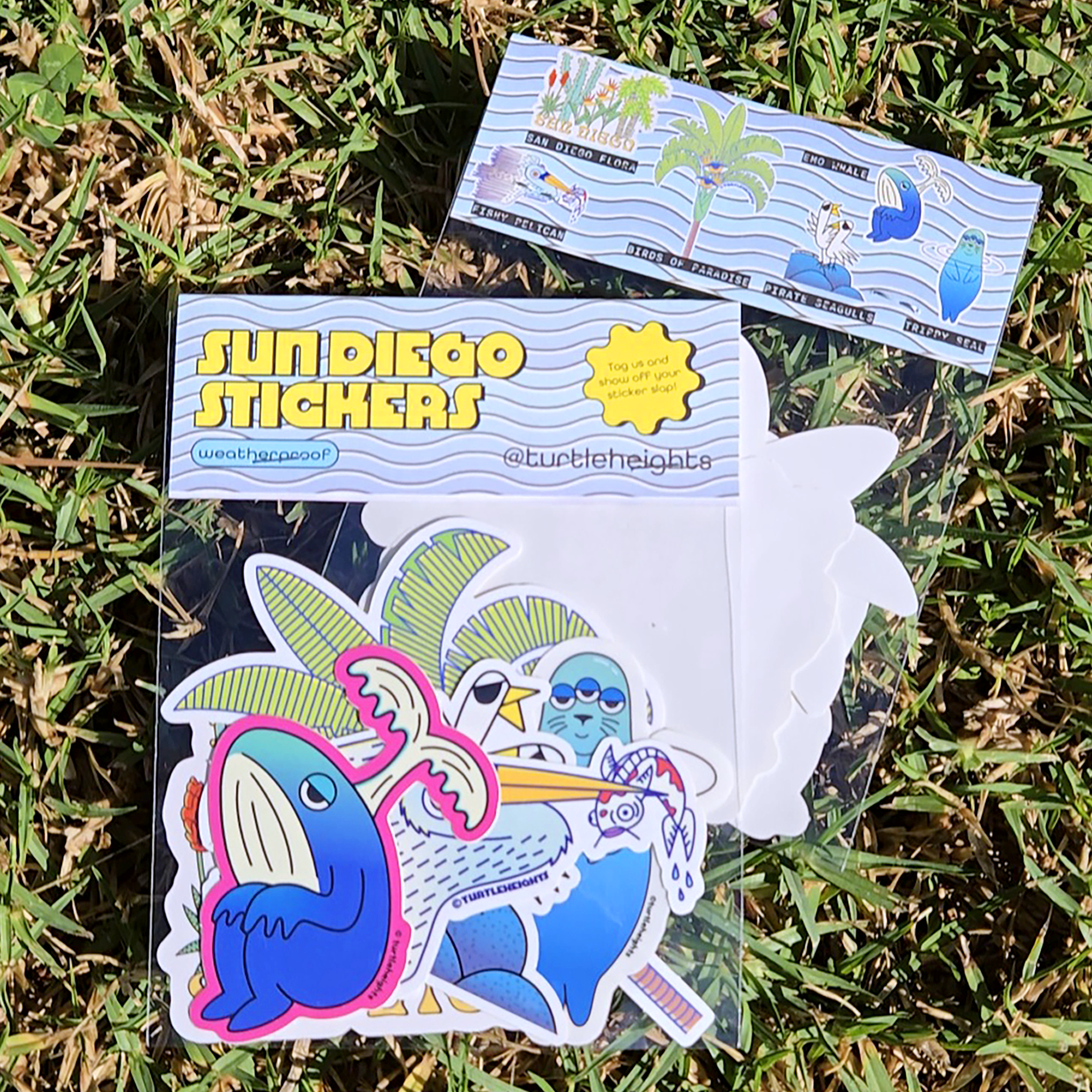 sundiegopack.png
