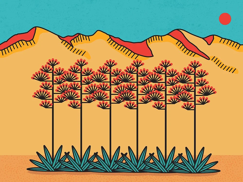 California Desert Agave Landscape