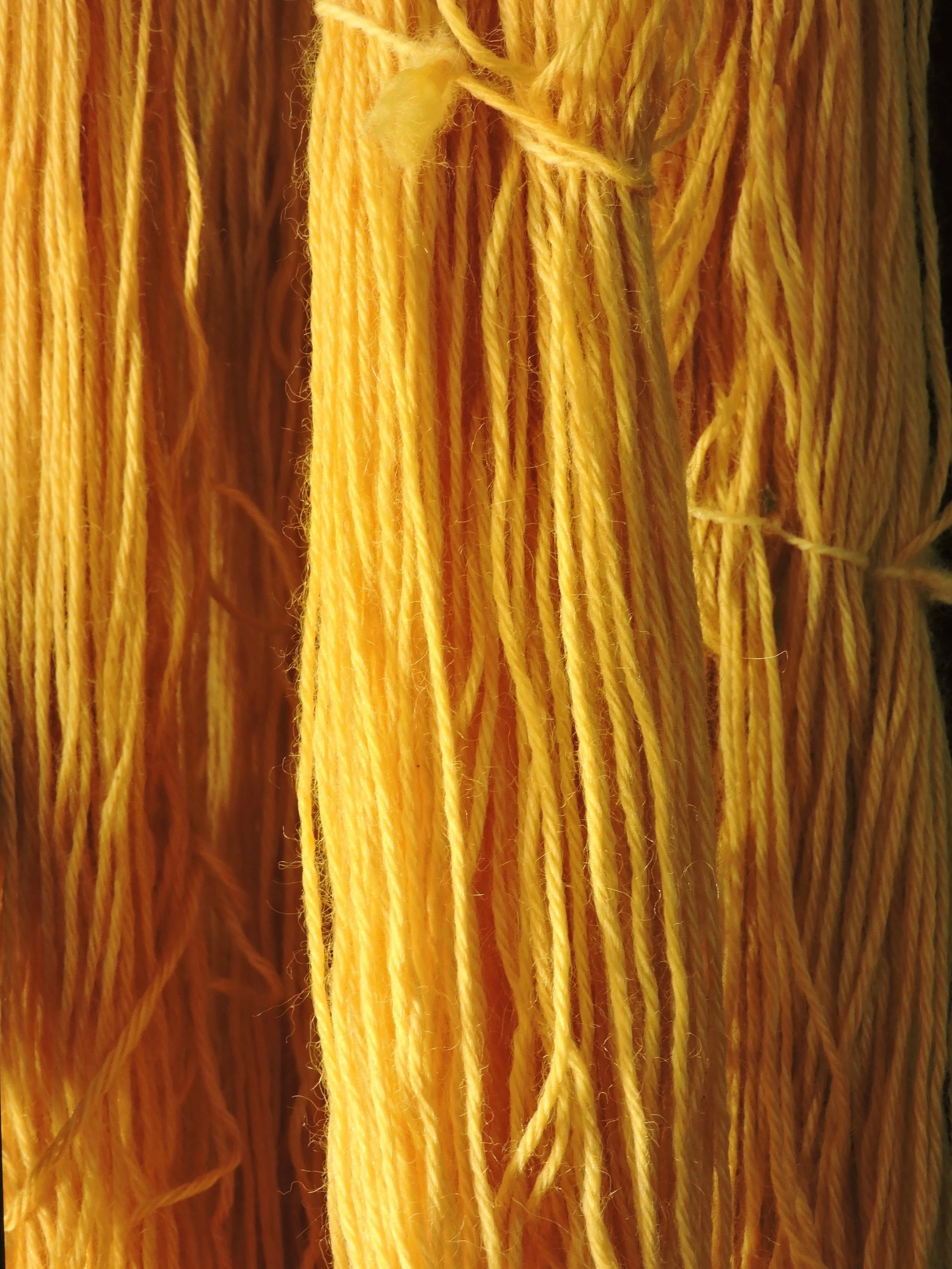 chamomiledyed.jpg