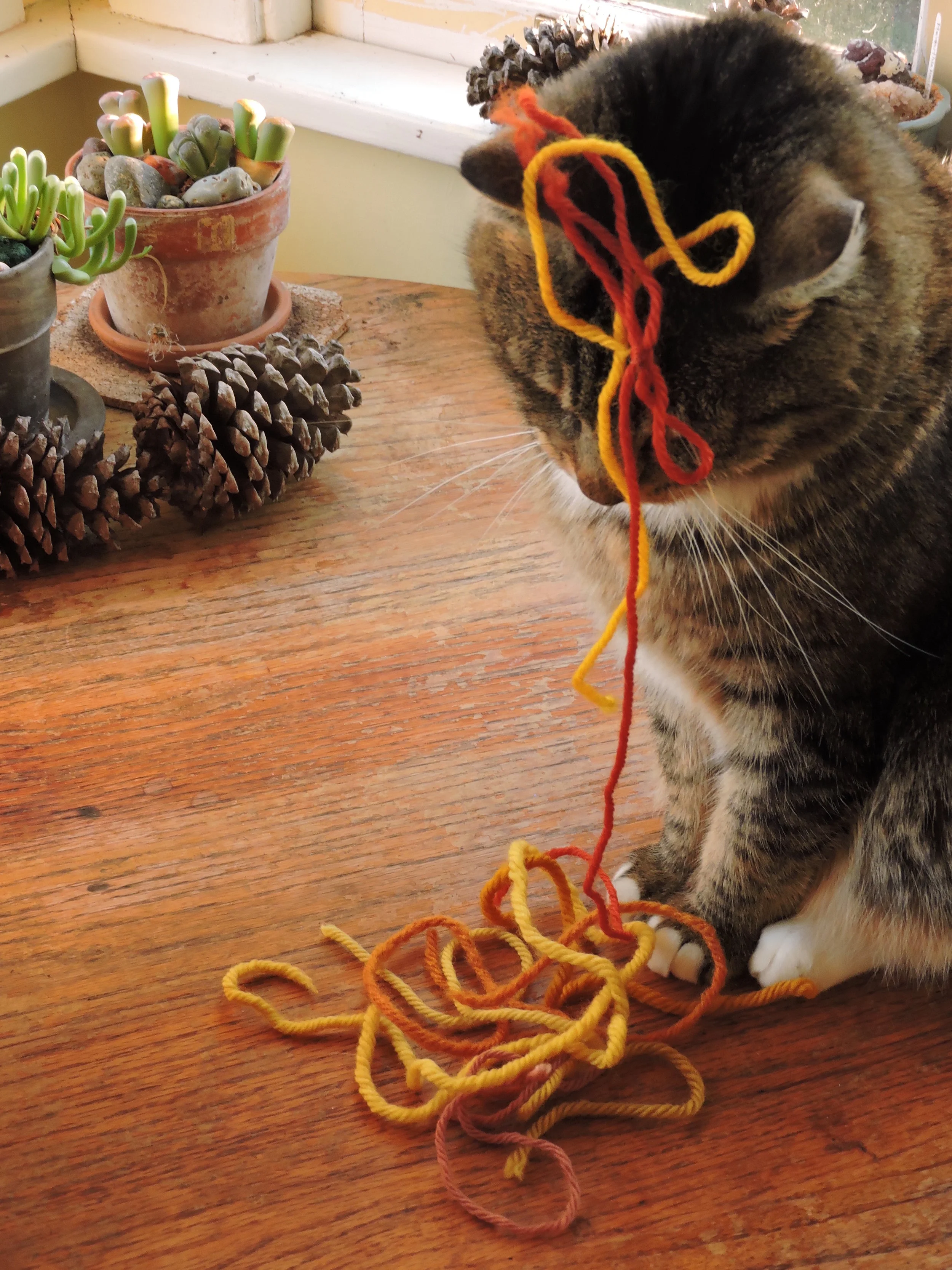 marigoldyarn.jpg
